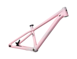 2023 Specialized P.3 Frame