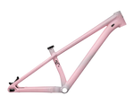 2023 Specialized P.3 Frame