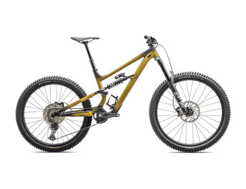 Specialized Status 170 2